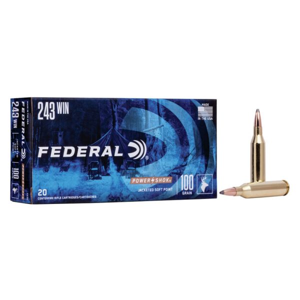 Federal 243 Win 100Gr SP