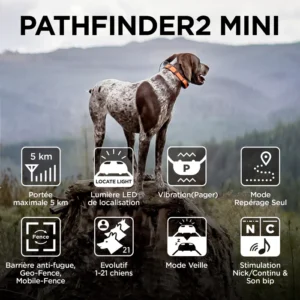 Dogtra Pathfinder 2 Mini Dogtra Pathfinder 2 Mini