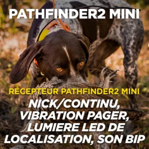 Dogtra Pathfinder 2 Mini Dogtra Pathfinder 2 Mini