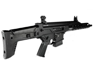 Tinck Arms Perun X17 .308WIN 16"